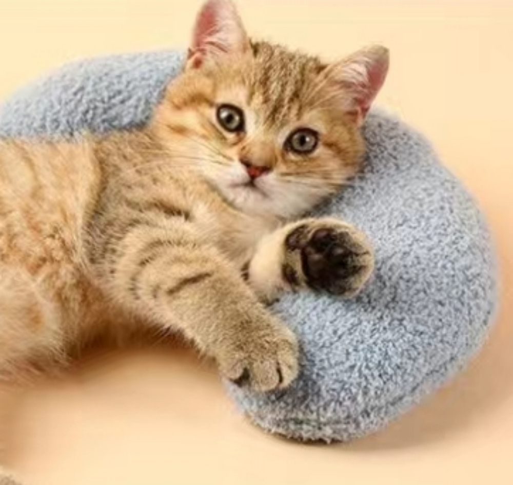 Kitten/CAT KIT             NWT + 1st Aid book